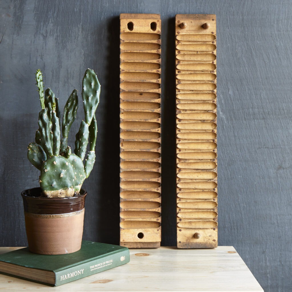 cigar forms as wall decor with potted cactus