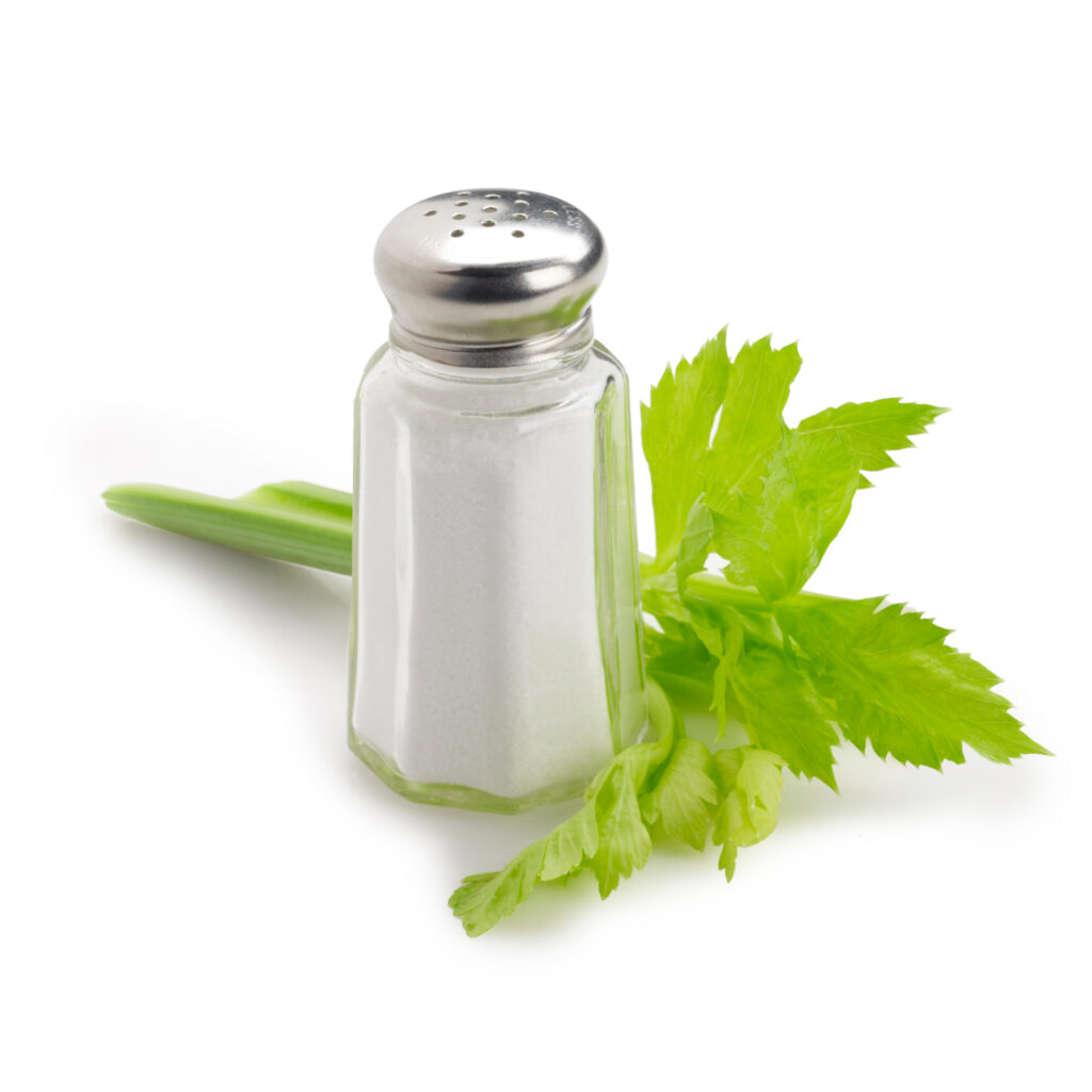 Frsh green celery stalk with salt shaker on white background