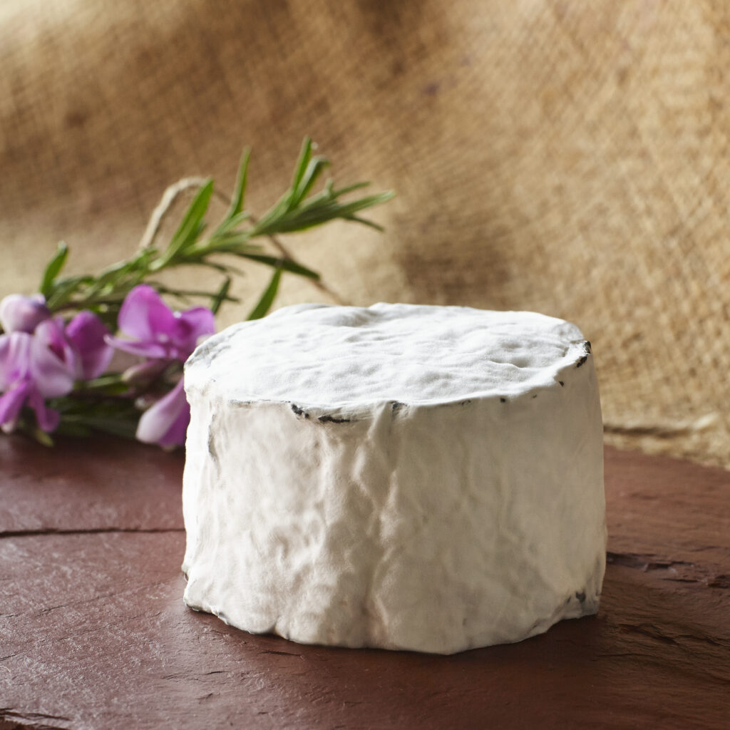 beautiful photo of Goat cheese with flowers