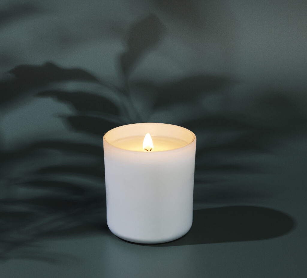 Cue Candle Company white candle on dusty green background with botanical shadow