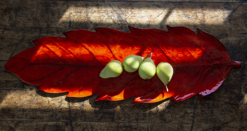 Eangee fair trade capiz red leaf serving tray