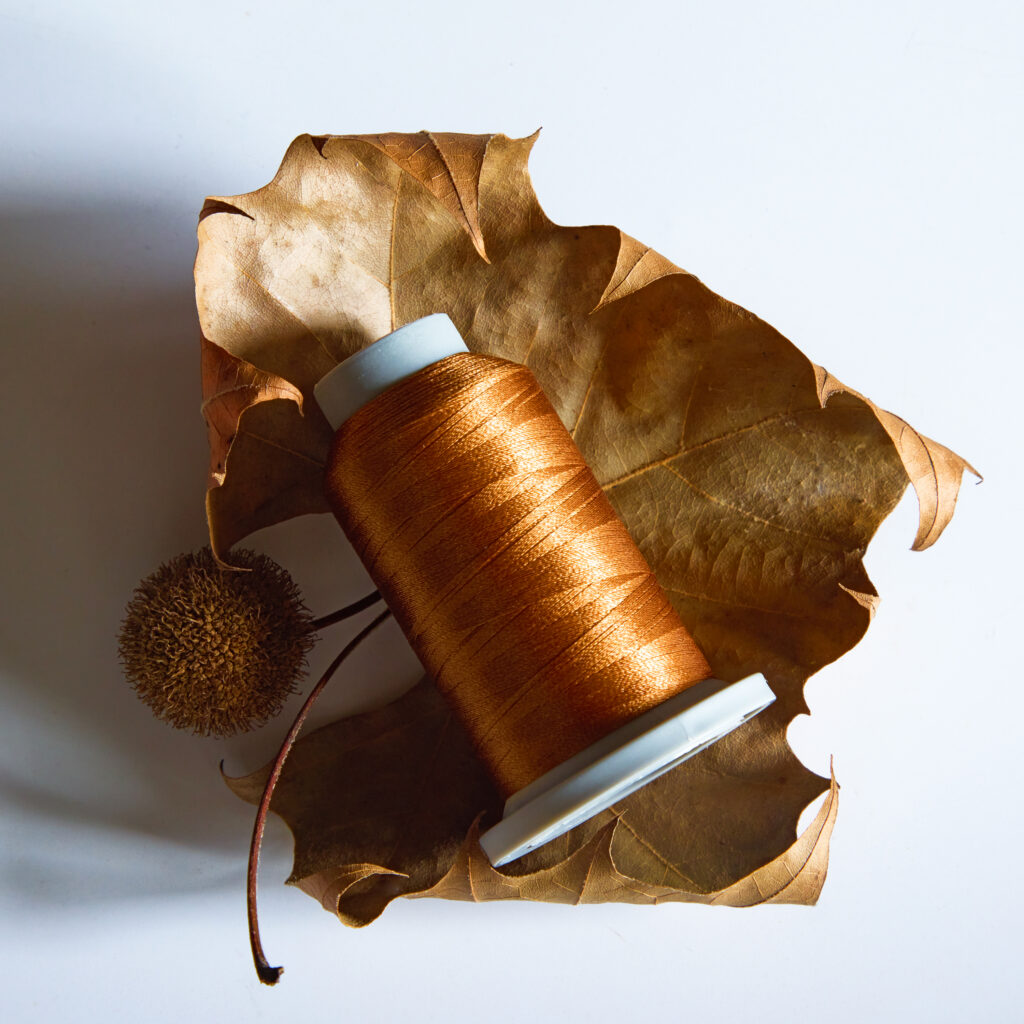 lush brown spool of thread cradled in a brown leaf with dramatic shadows