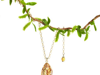 beautiful amber pendant hanging on willow branch on clean white background