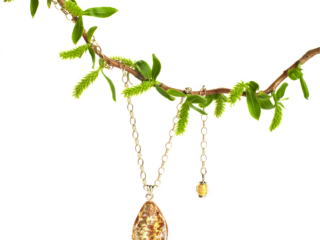 beautiful amber pendant hanging on willow branch on clean white background