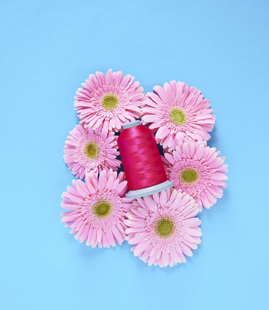 dark pink thread on bed of light pink gerber daisies set up on cyan blue background