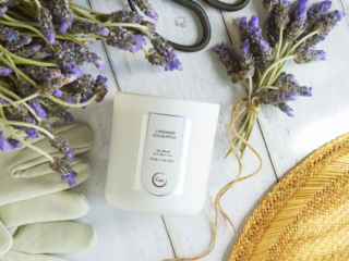 Cue Candle Company white candle on white wood with fresh lavender and gardening tools